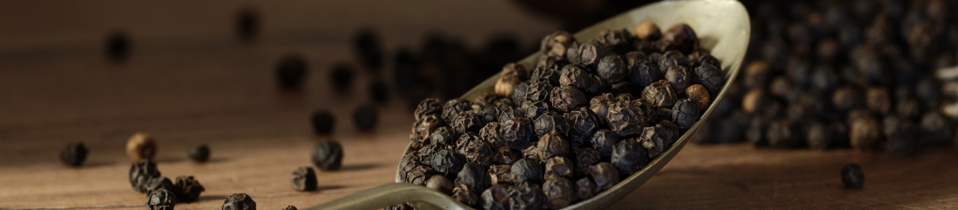 Kerala spice cultivation